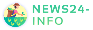 news24-info.com